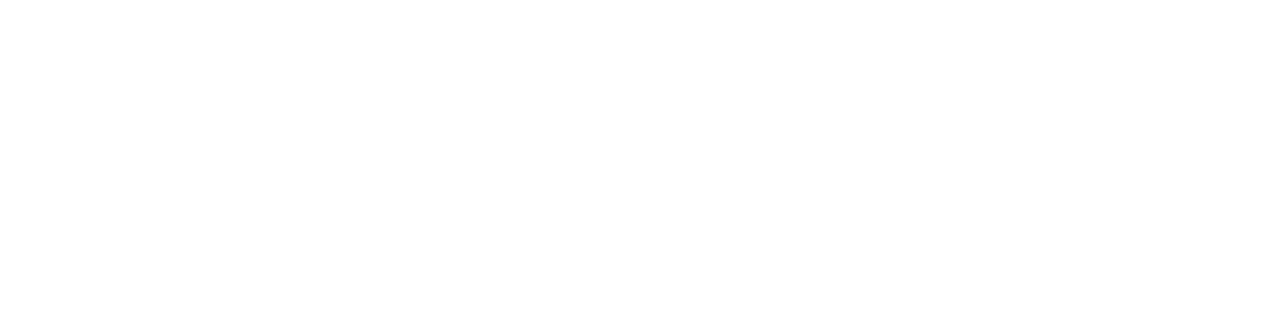 EVA Metz Horizontal blanc scaled